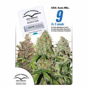 Autoflower USA Mix feminised Dutch Passion Seeds