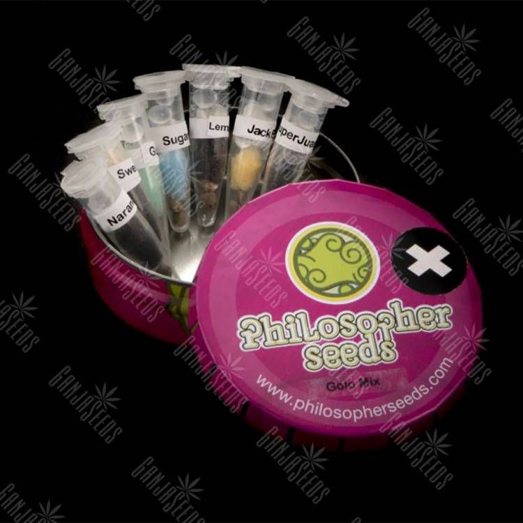 семена конопли в России Golo Mix + feminised Philosopher Seeds