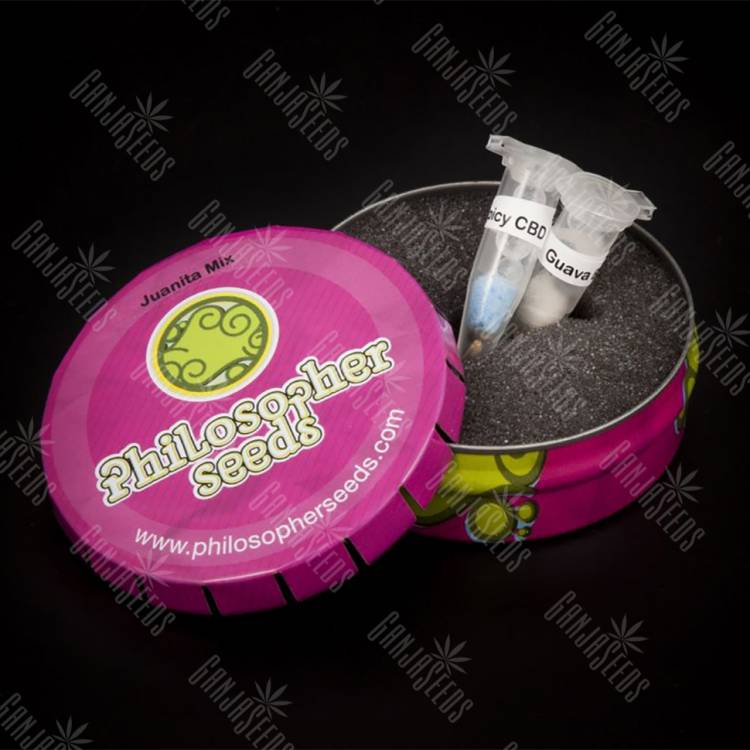 семена культурной конопли купить Juanita Mix feminised Philosopher Seeds