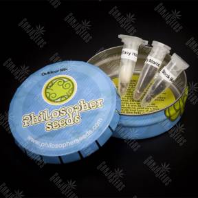 Outdoor Mix feminised Philosopher Seeds