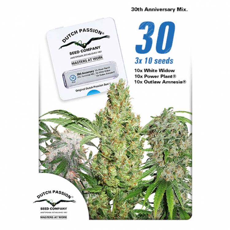 хорошие семена конопли 30st Anniversary Mix feminised Dutch Passion Seeds хорошие семена конопли 30st Anniversary Mix feminised Dutch Passion Seeds