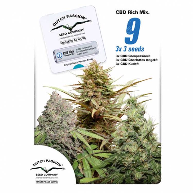 заказ семян конопли Москва CBD Rich Mix feminised Dutch Passion Seeds заказ семян конопли Москва CBD Rich Mix feminised Dutch Passion Seeds