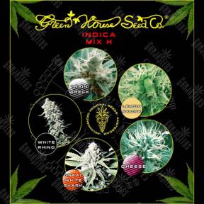 Indica Mix H feminised Green House Seeds