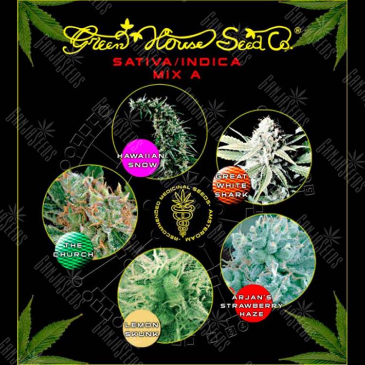 семена конопли феминизированные Sativa/Indica Mix A feminised Green House Seeds семена конопли феминизированные Sativa/Indica Mix A feminised Green House Seeds